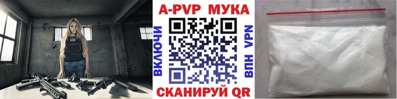 omg зеркало  дарнет шоп  Болохово  A PVP СК 