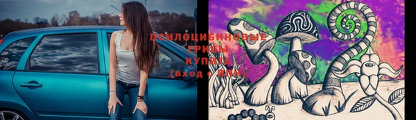 каннабис Алексеевка