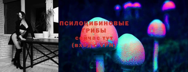 прущие грибы Алзамай