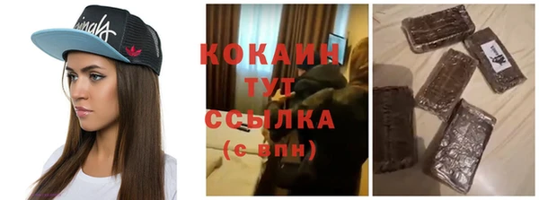 сатива Рославль