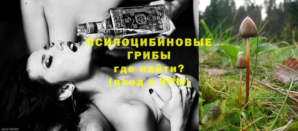 сатива Рославль