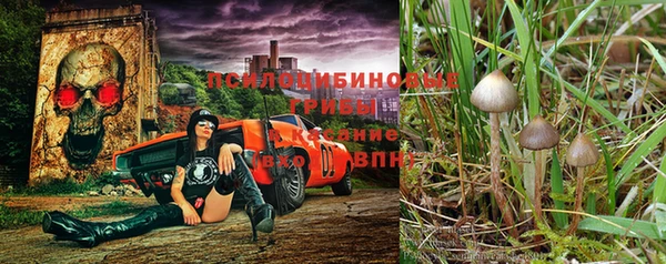 дживик Абдулино