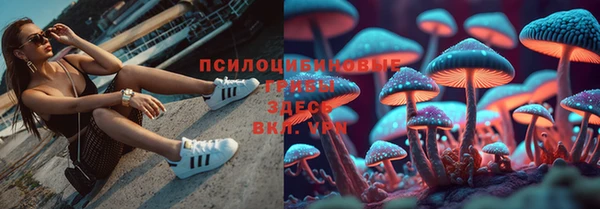 гидропоника Абаза