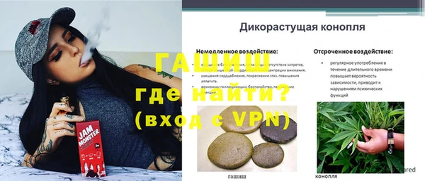 сатива Рославль